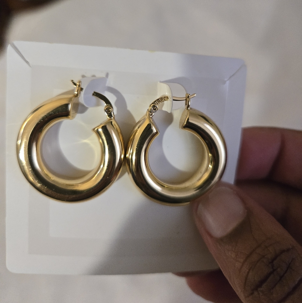 Elegant Gold Hoop Earrings